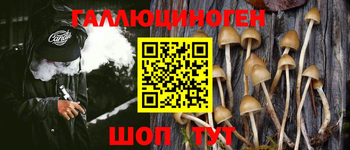Псилоцибиновые грибы мухоморы Кольчугино