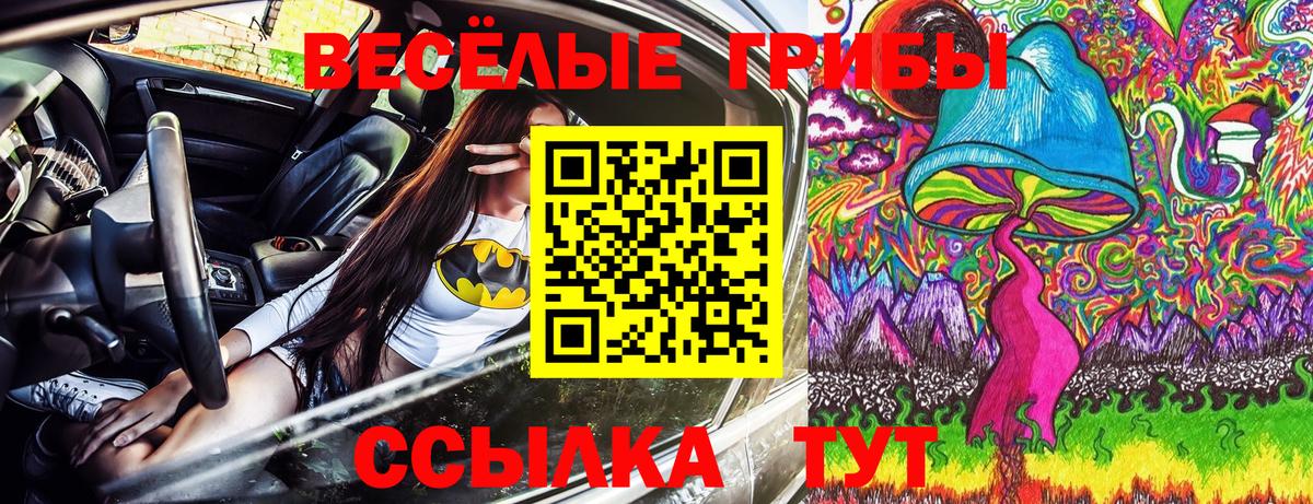 Кольчугино  Галлюциногенные грибы прущие грибы  Вход с VPN  Галлюциногенные грибы MAGIC MUSHROOMS 